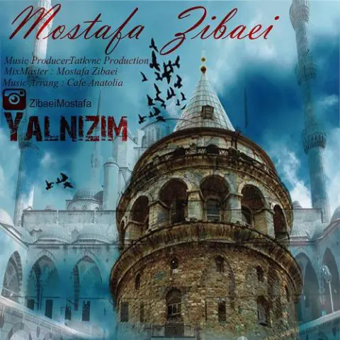 دانلود آهنگ مصطفی زیبایی به نام Yalnizim